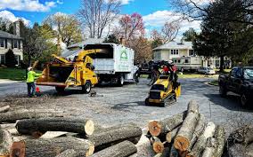 Best Lawn Grading and Leveling  in Meadowbrook, AL